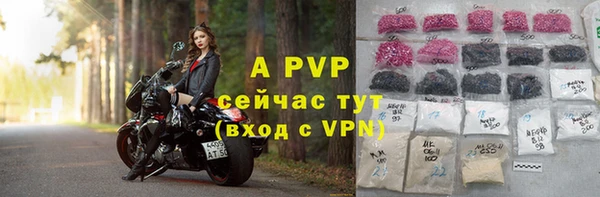 стафф Володарск
