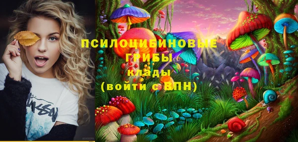 стафф Володарск