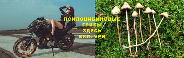 стафф Володарск
