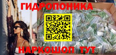 прущие крисы Кандалакша