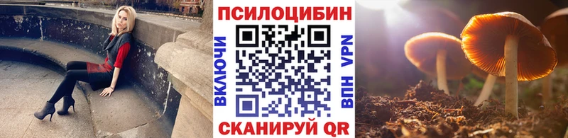 наркотики  Муром  Галлюциногенные грибы мухоморы 