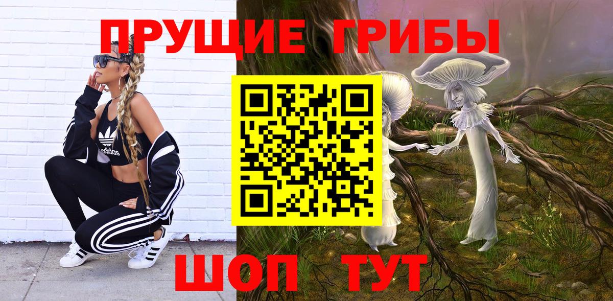 Псилоцибиновые грибы Magic Shrooms  Вход с VPN  Муром  Галлюциногенные грибы Psilocybe 