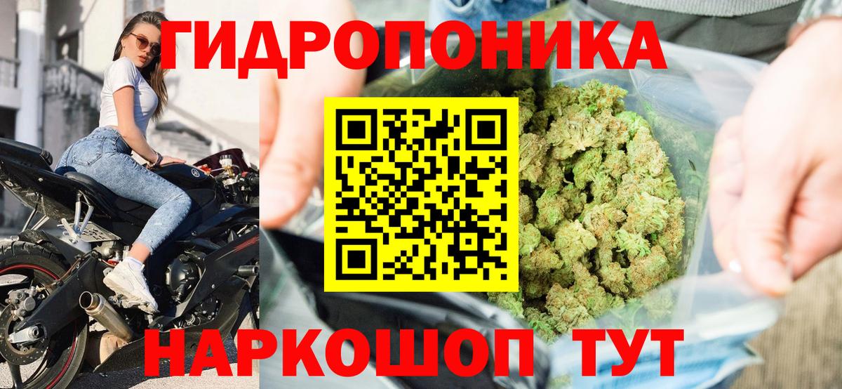 Канабис семена Муром